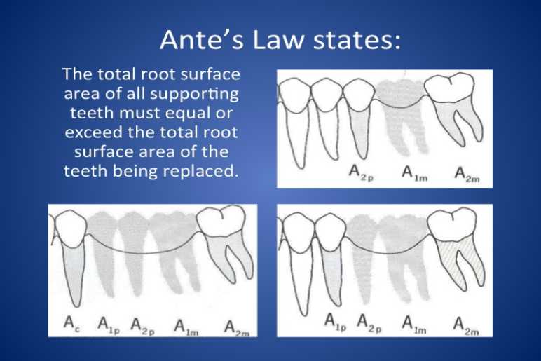 What is Ante's Law?